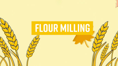 Video showing wheat milling and flour production