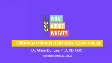 Webinar on refined wheat and nutrient fortification
