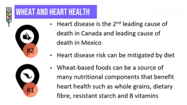 Webinar on whole grains and heart health research