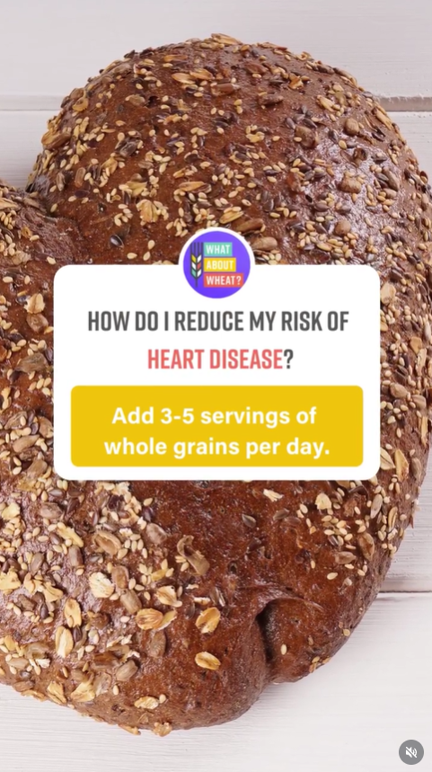 Webinar on refined wheat and nutrient fortification